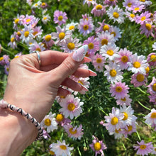 Load image into Gallery viewer, Blossom
