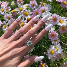 Load image into Gallery viewer, Blossom
